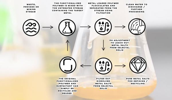 The SELECTAL Process