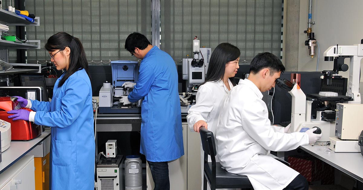 Prof Cathy Ye In Lab