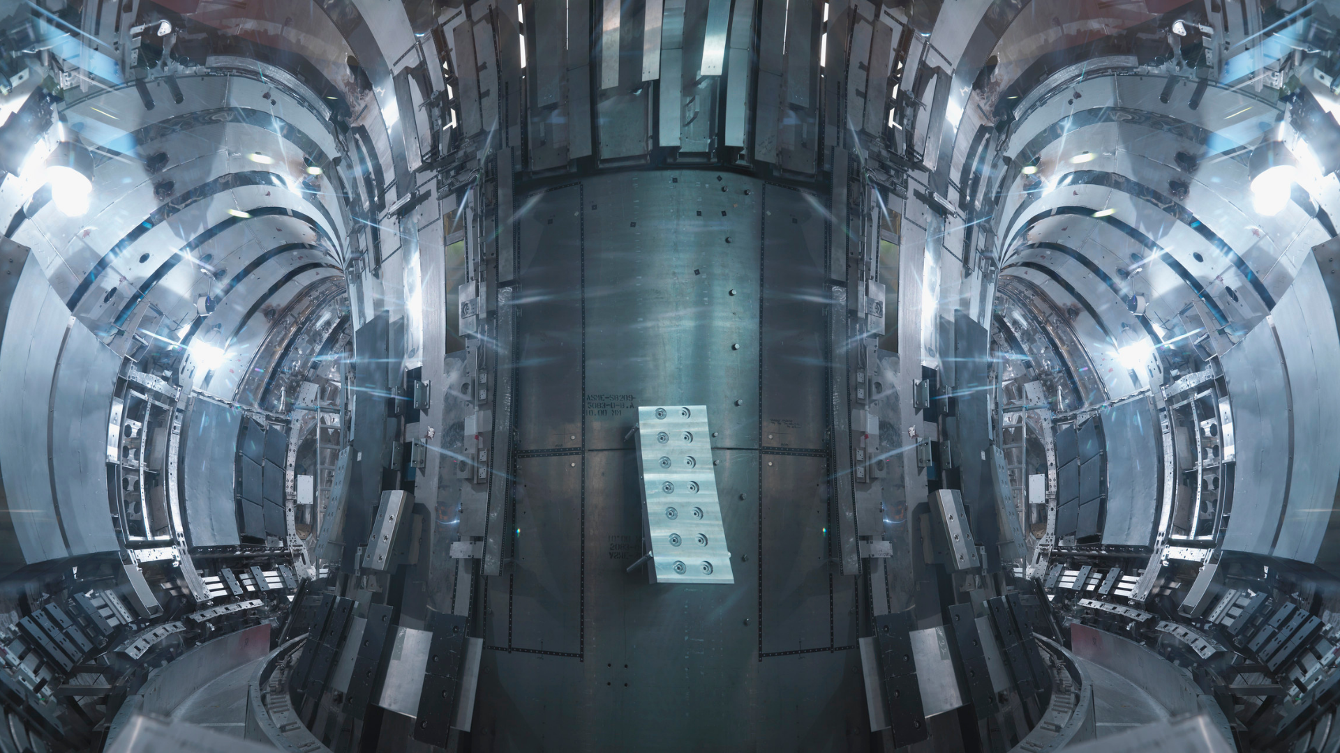 Fusion Reactor
