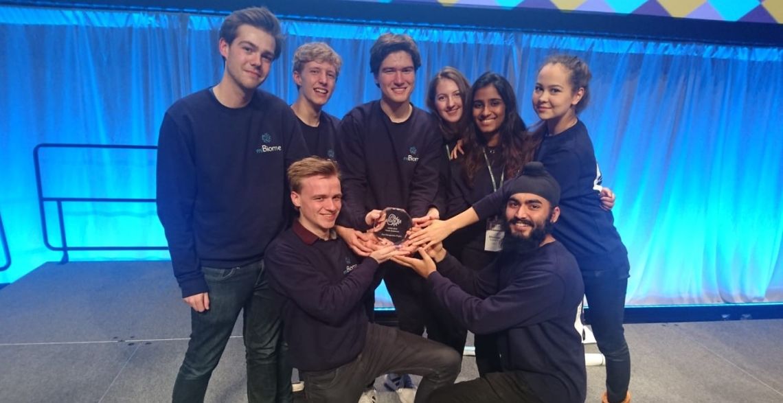The iGEM team