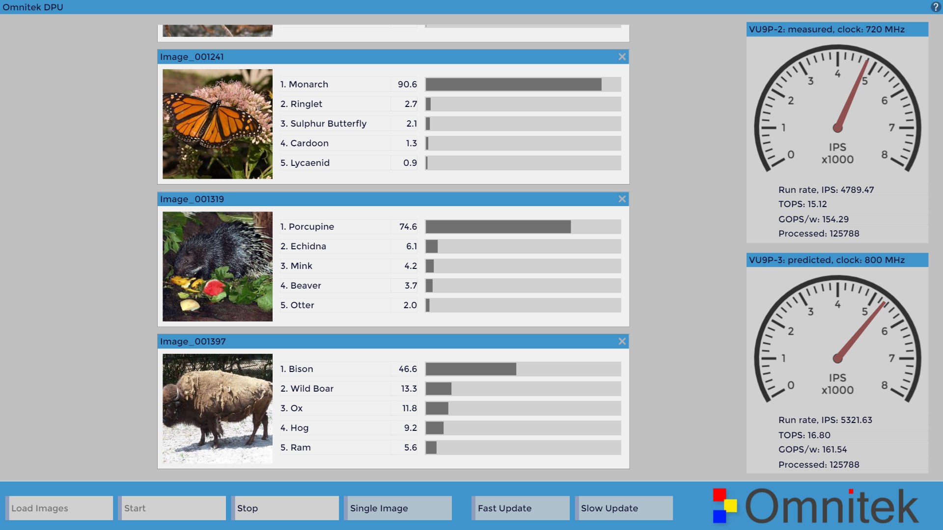 Screenshot showing Deep Learning being used to identify images of three species: a butterfly, a porcupine and a bison