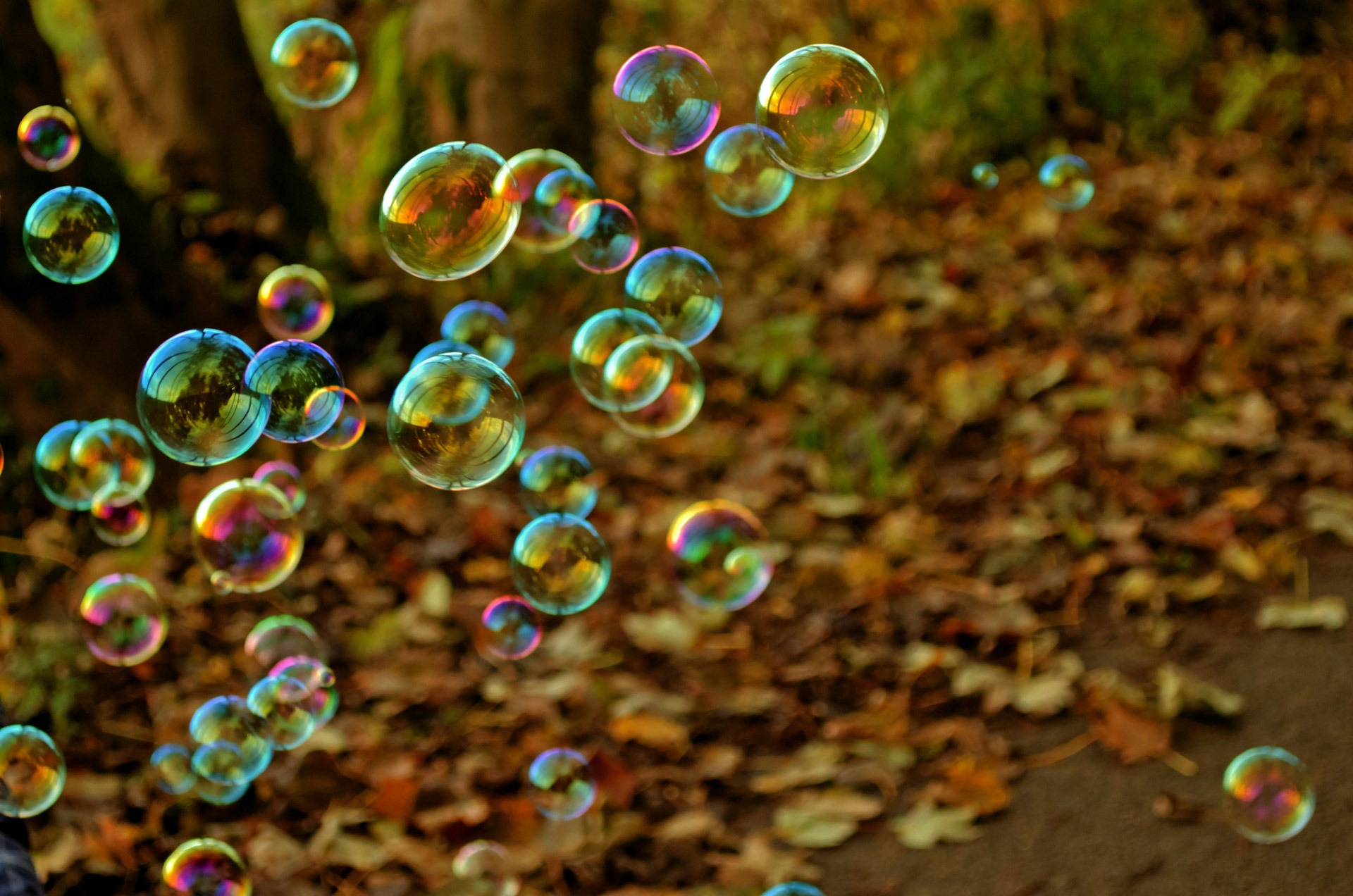 Lots of soap bubbles, and the ground is covered in autumn leaves