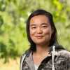 Pengling Li