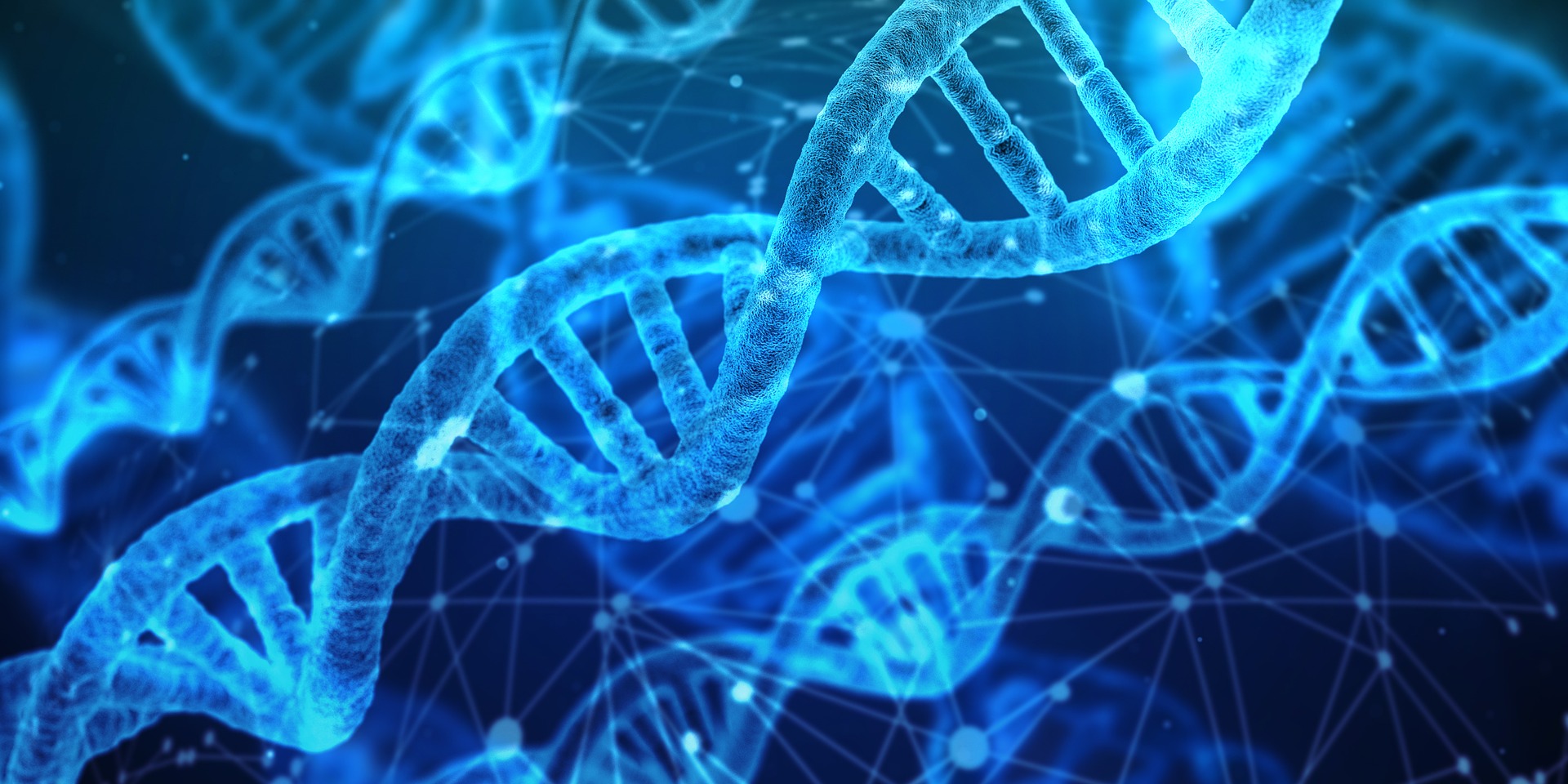 Multiple blue x-ray style DNA helixes