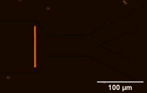 Gif of defect confinement channels created with direct laser writing