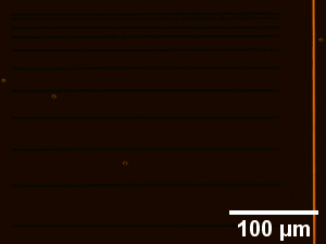 Gif of defect confinement channels created with direct laser writing