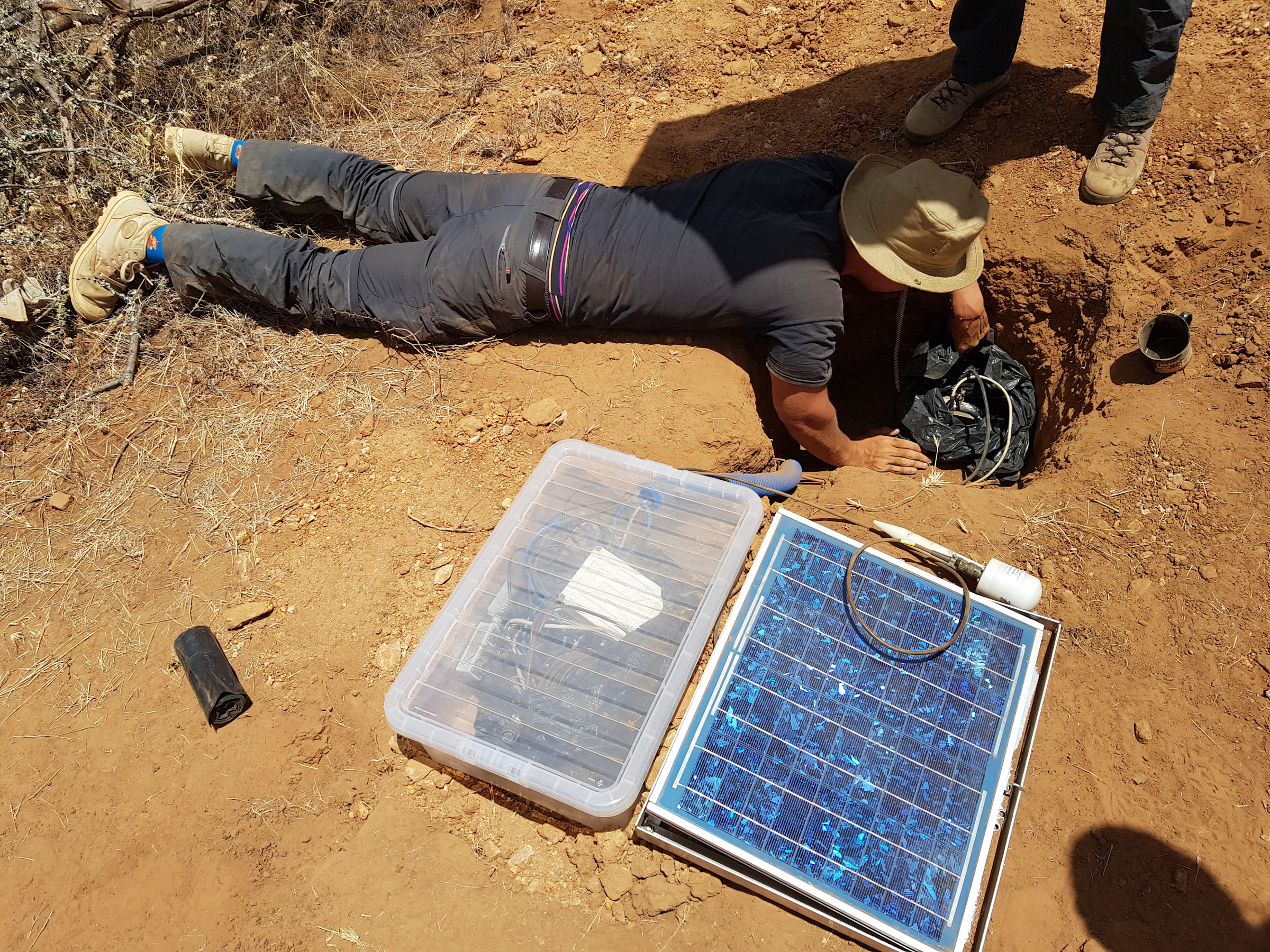Seismometers are buried in the ground to detect the vibrations made by elephants