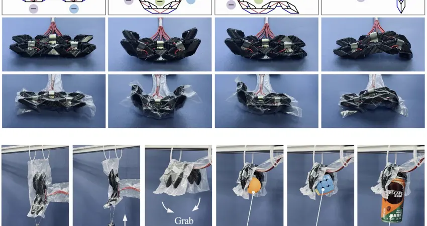 Multistable robotic limb