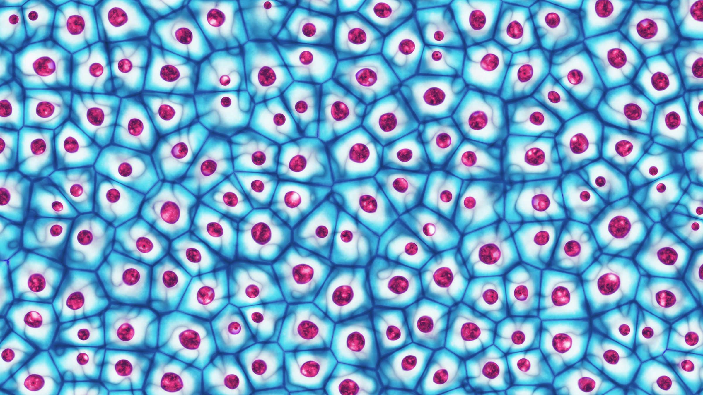 Biological cells