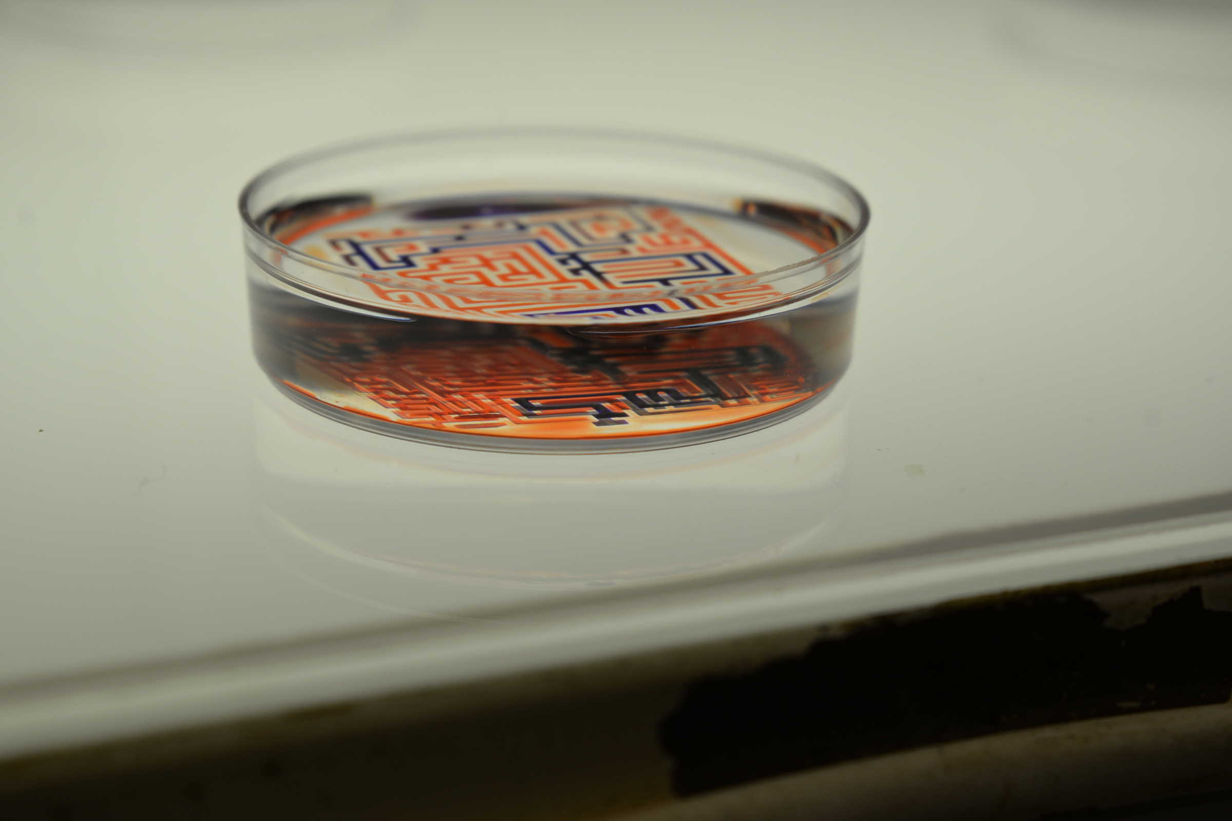 Small dish with a maze structure inside