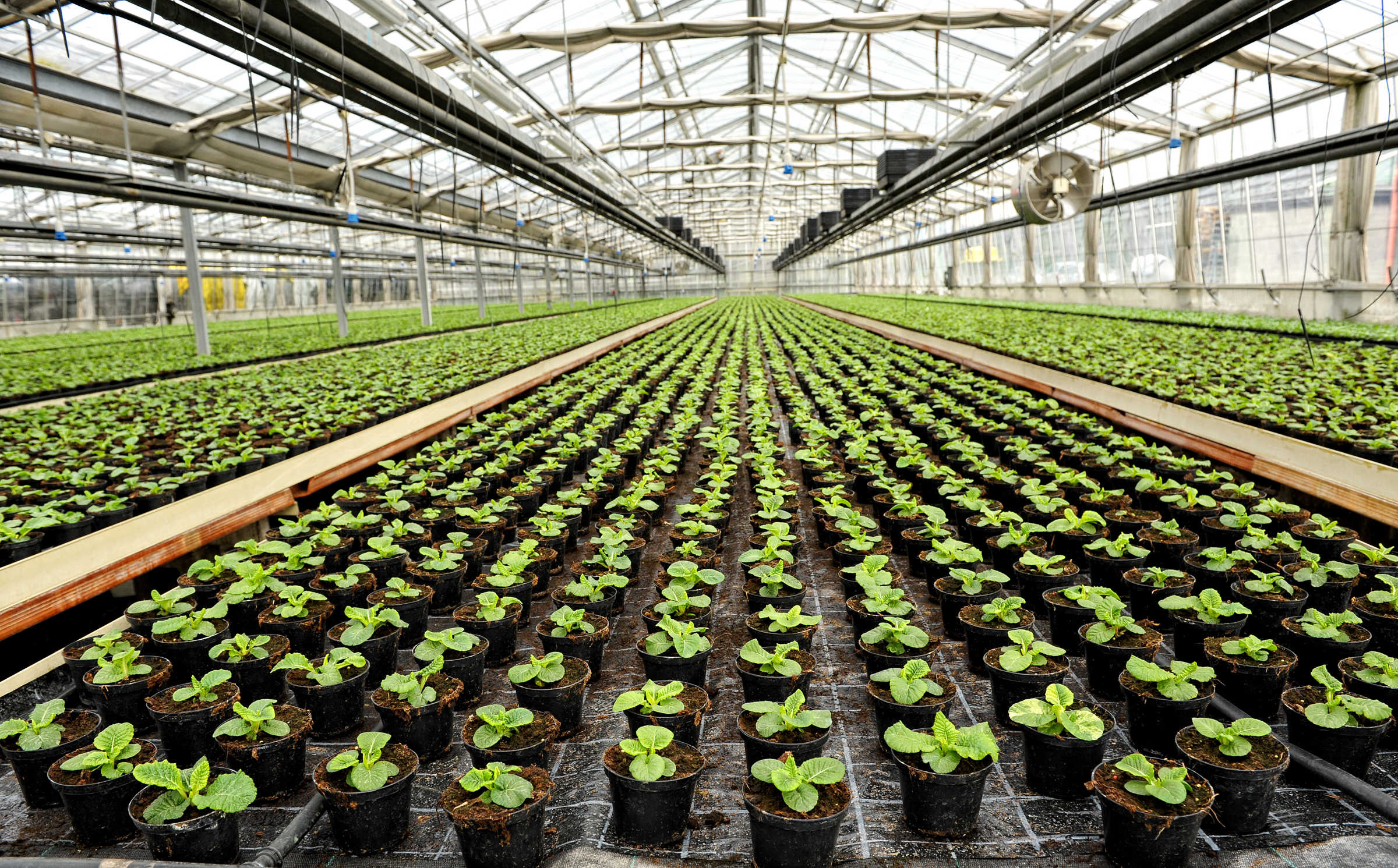 Indoor farming of plants